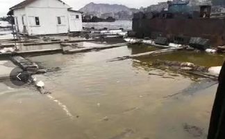 不造謠不傳謠，我們用事實說話 內陸水產養殖銷售的現狀與前景